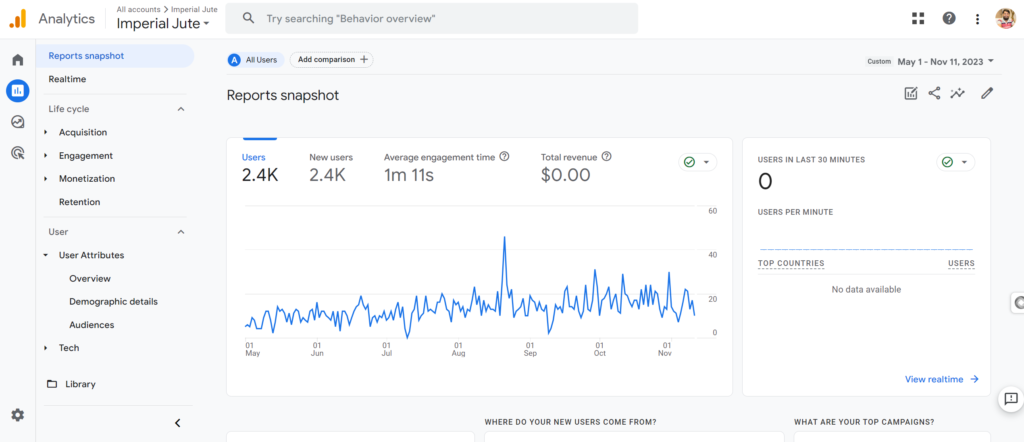 Google Analytics Organic Traffic Imperial Jute last 6 month